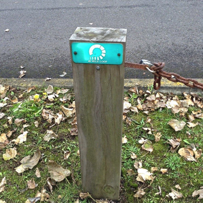 Trail marker for the 40 mile loop trail